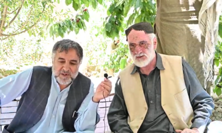 Interview on Apples and Cherry (District Ziarat)