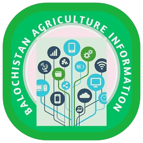Balochistan Agriculture Information Services