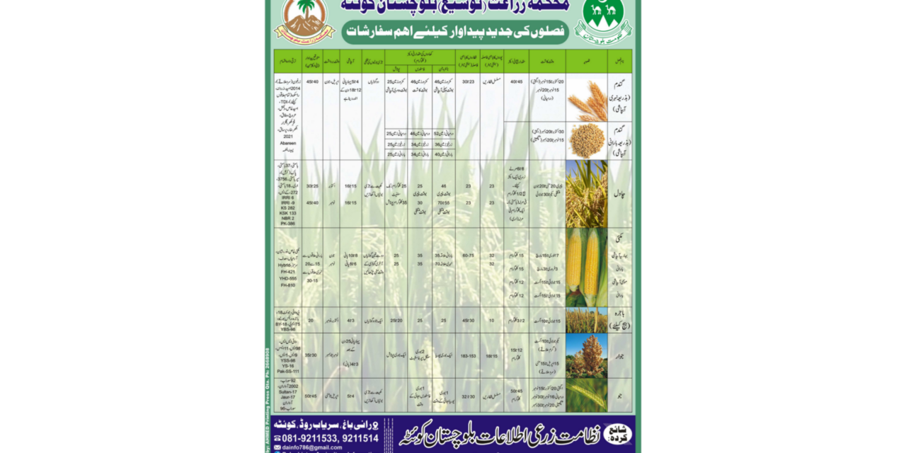 “Important Recommendations for Modern Crop Production – Balochistan Agriculture Department 2024”