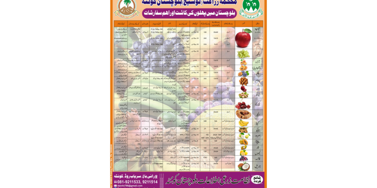Comprehensive Guide to Fruit Cultivation in Balochistan – Essential Recommendations by Agriculture Department 2024