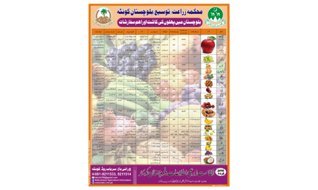 Comprehensive Guide to Fruit Cultivation in Balochistan – Essential Recommendations by Agriculture Department 2024