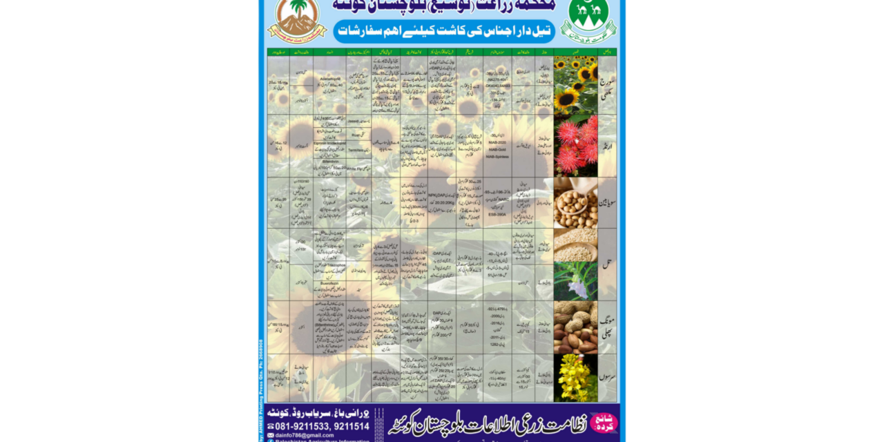 Key Recommendations for Oilseed Crop Cultivation in Balochistan – 2024 Guide by Agriculture Departmen