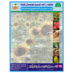 Key Recommendations for Oilseed Crop Cultivation in Balochistan – 2024 Guide by Agriculture Departmen