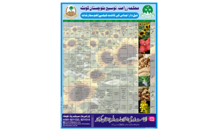 Key Recommendations for Oilseed Crop Cultivation in Balochistan – 2024 Guide by Agriculture Departmen
