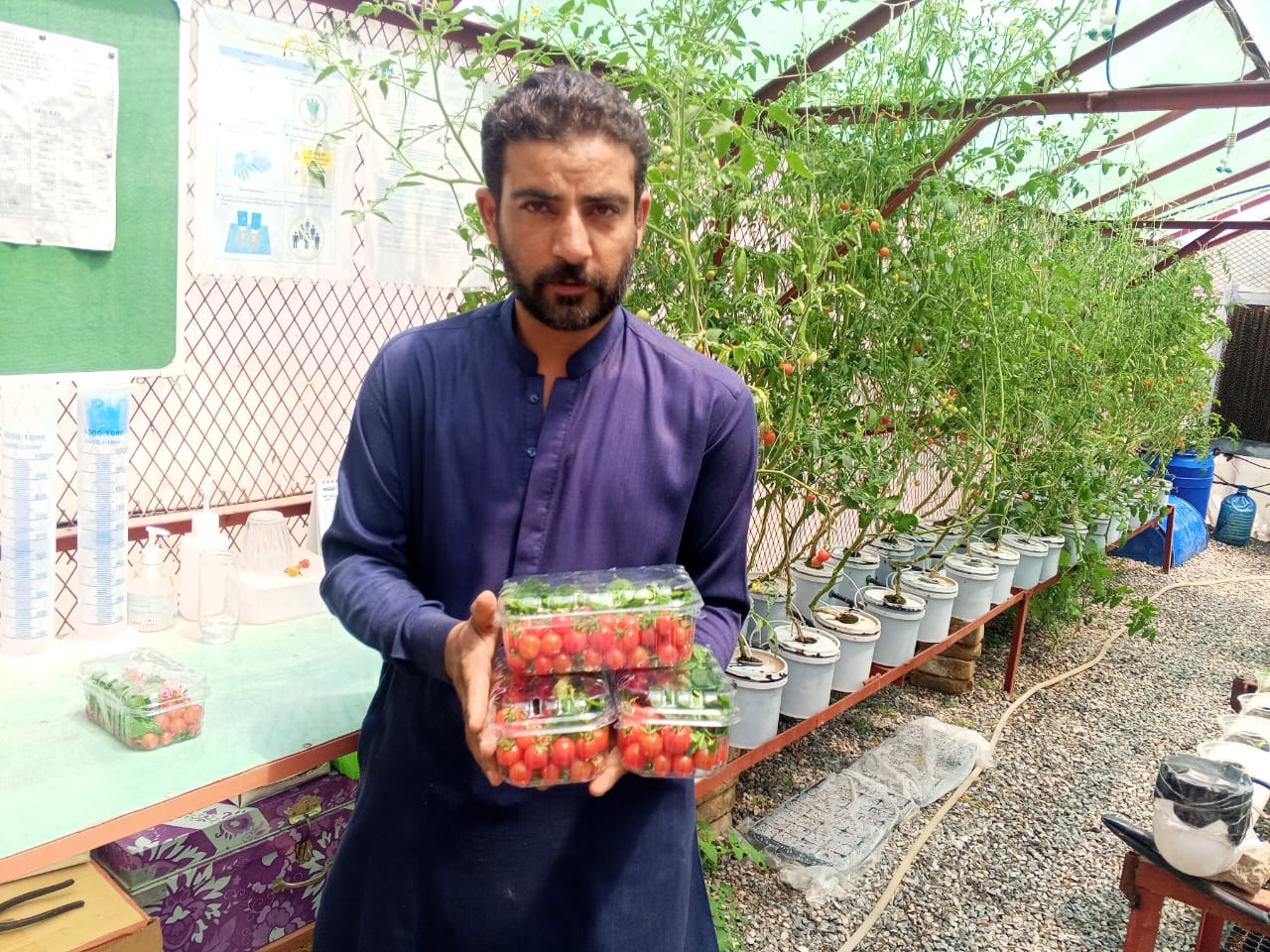 Farmer with produce boxes