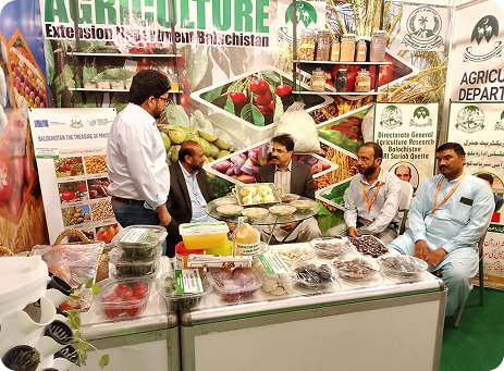 Expo booth
