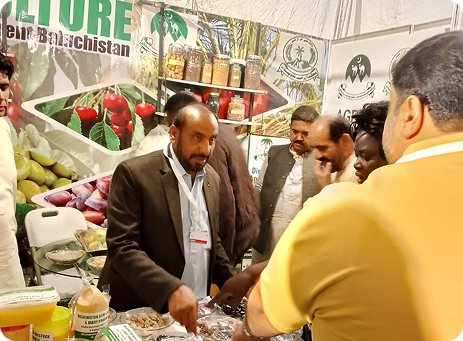 Expo stall